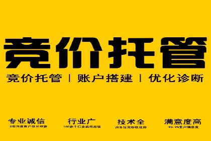 案例展示：SEM推广助力企业拓展市场